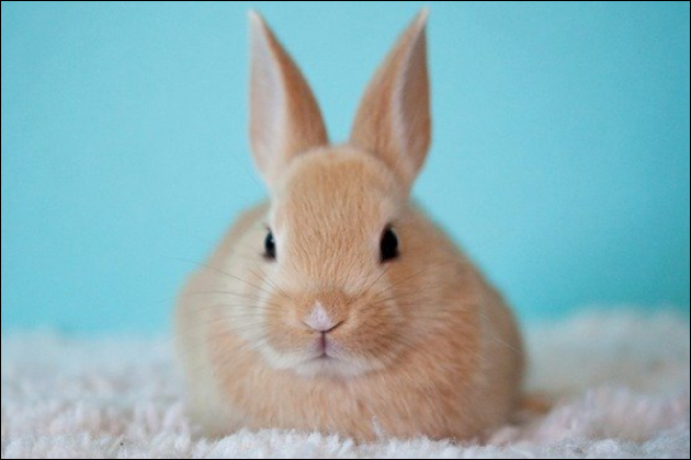 �o��n�ŃZ�t���ɂ��₷�������̓����ƐE�ƁI�ǂ�ȏ�����_���Ηǂ��̂��H